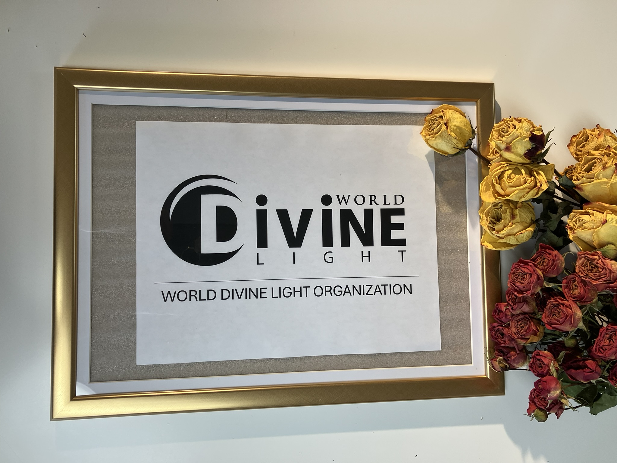 World Divine Light Organization signage